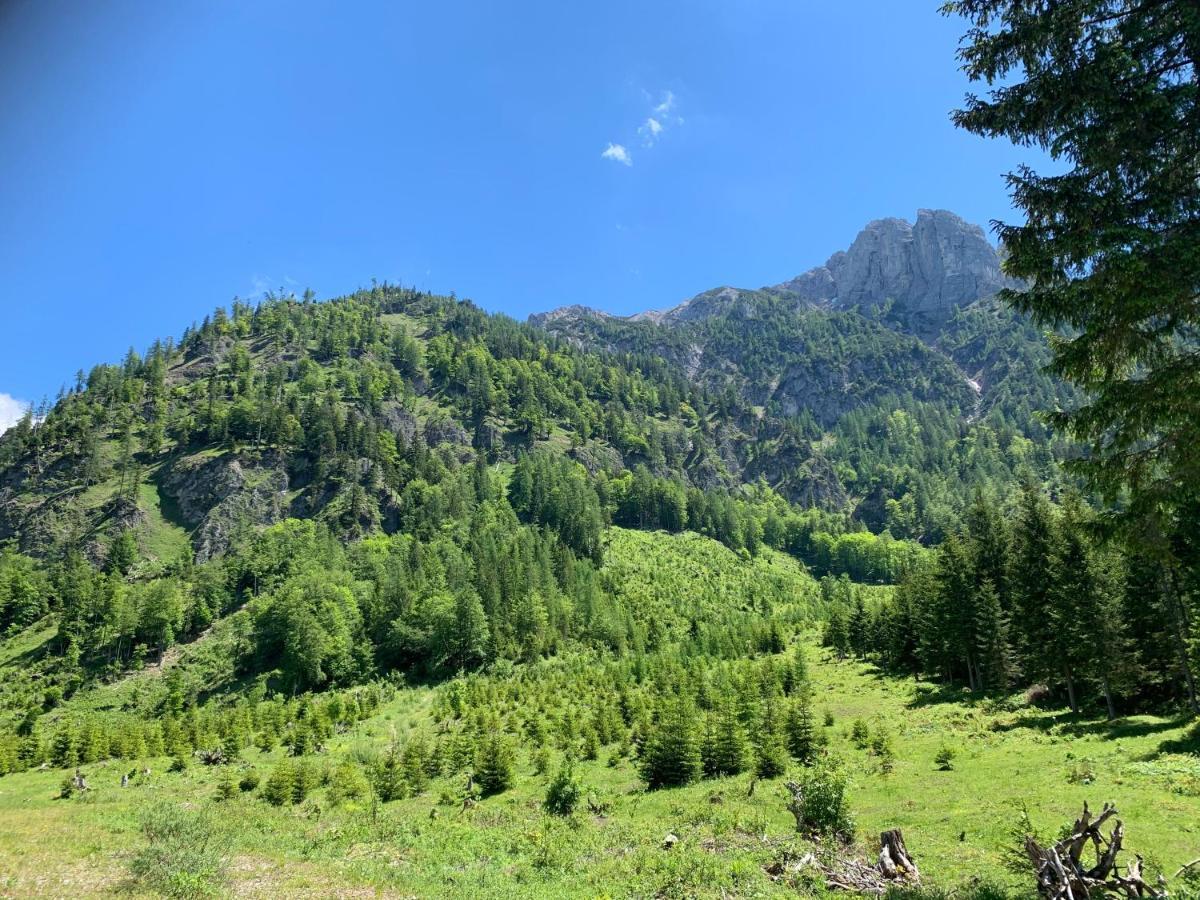 Obersdorf Apartment Kumitzblick מראה חיצוני תמונה